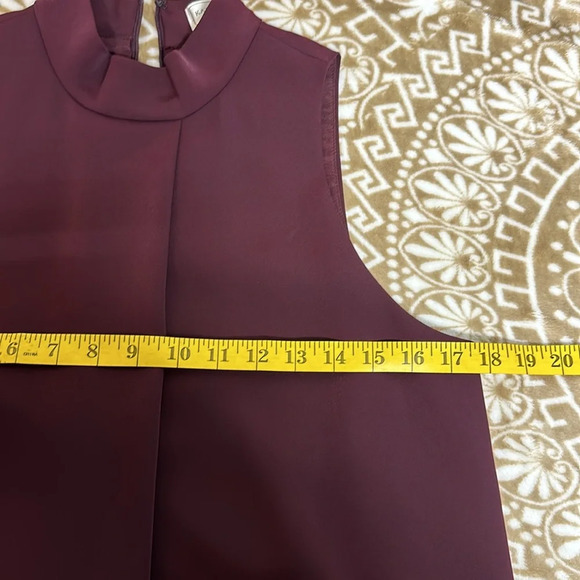 Katherine Kelly Lined Sleeveless Dress Deep wine color - Picture 6 of 9